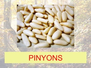 PINYONS
 