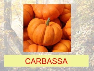 CARBASSA
 