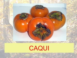 CAQUI
 