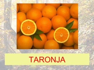 TARONJA
 
