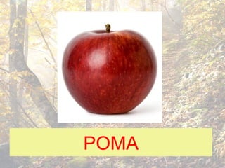 POMA
 