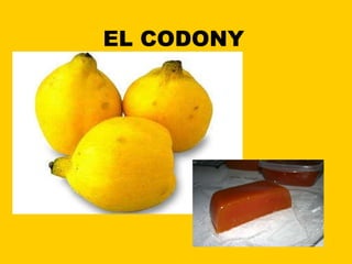 EL CODONY 