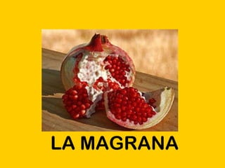 LA MAGRANA 