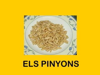 ELS PINYONS 
