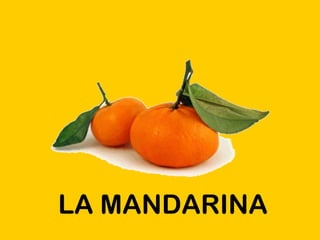 LA MANDARINA 