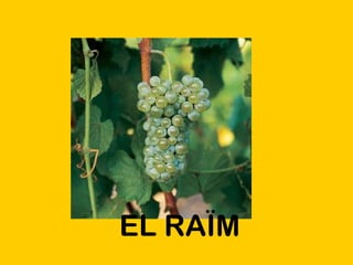 EL RAÏM 