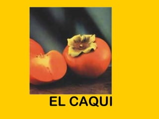 EL CAQUI 