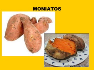 MONIATOS 