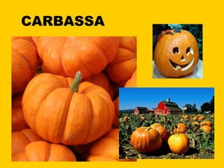 CARBASSA 