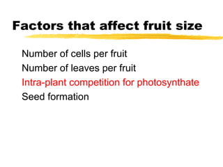 Fruit Development Presentation Fruits Development | PPT