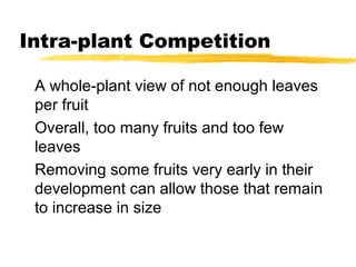 Fruit Development Presentation Fruits Development | PPT
