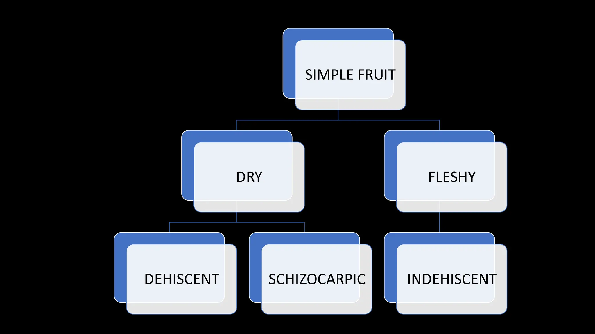 SIMPLE FRUIT
DRY
DEHISCENT SCHIZOCARPIC
FLESHY
INDEHISCENT
 