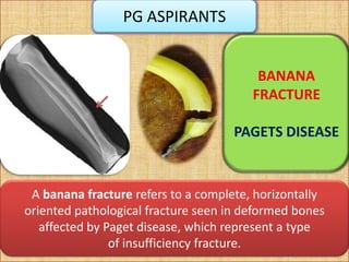 Fruit Signs To Remember Related To Diseases PPT fruit-signs-to-remember-related-to-diseases-ppt