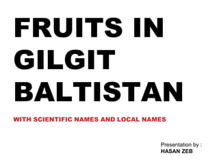 FRUITS IN
GILGIT
BALTISTAN
WITH SCIENTIFIC NAMES AND LOCAL NAMES
Presentation by :
HASAN ZEB
 