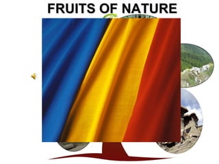 FRUITS OF NATURE
 