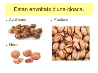Estan envoltats d'una closca.
● Avellanes
● Nous
● Festucs
 