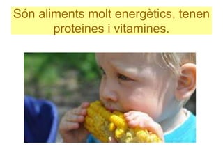 Són aliments molt energètics, tenen
proteines i vitamines.
 