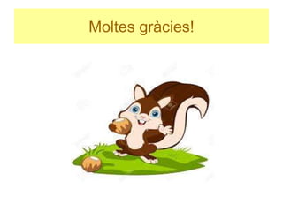 Moltes gràcies!
 