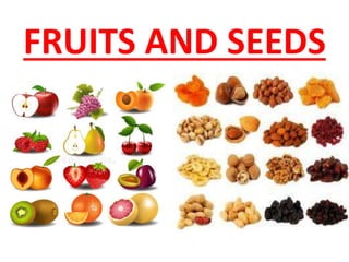 FRUITS AND SEEDS
 