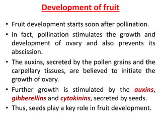 Fruits & seeds | PPTX