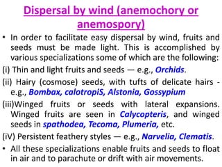 Fruits & seeds | PPTX