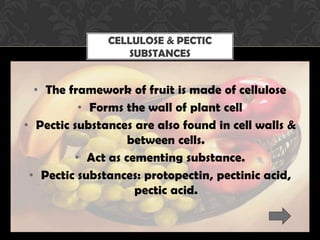 • The framework of fruit is made of cellulose
• Forms the wall of plant cell
• Pectic substances are also found in cell walls &
between cells.
• Act as cementing substance.
• Pectic substances: protopectin, pectinic acid,
pectic acid.
CELLULOSE & PECTIC
SUBSTANCES
 