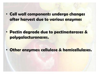 • Cell wall components undergo changes
after harvest due to various enzymes
• Pectin degrade due to pectinesterases &
polygalacturonases.
• Other enzymes: cellulase & hemicellulases.
 