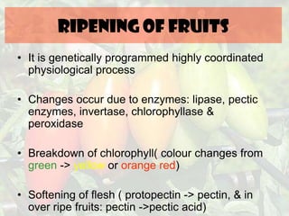 RIPENING OF FRUITS
• It is genetically programmed highly coordinated
physiological process
• Changes occur due to enzymes: lipase, pectic
enzymes, invertase, chlorophyllase &
peroxidase
• Breakdown of chlorophyll( colour changes from
green -> yellow or orange red)
• Softening of flesh ( protopectin -> pectin, & in
over ripe fruits: pectin ->pectic acid)
 