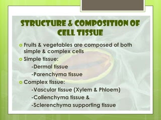 STRUCTURE & COMPOSITION OF
CELL TISSUE
 Fruits & vegetables are composed of both
simple & complex cells
 Simple tissue:
-Dermal tissue
-Parenchyma tissue
 Complex tissue:
-Vascular tissue (Xylem & Phloem)
-Collenchyma tissue &
-Sclerenchyma supporting tissue
 