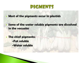  Most of the pigments occur in plastids
 Some of the water soluble pigments are dissolved
in the vacuoles
 The chief pigments:
-Fat soluble
-Water soluble
 