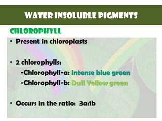 WATER INSOLUBLE PIGMENTS
CHLOROPHYLL
• Present in chloroplasts
• 2 chlorophylls:
-Chlorophyll-a: Intense blue green
-Chlorophyll-b: Dull Yellow green
• Occurs in the ratio: 3a:1b
 