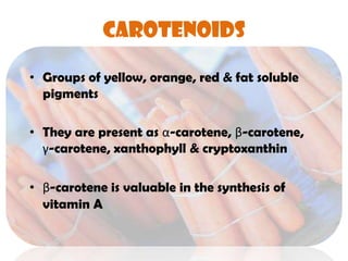 CAROTENOIDS
• Groups of yellow, orange, red & fat soluble
pigments
• They are present as α-carotene, β-carotene,
γ-carotene, xanthophyll & cryptoxanthin
• β-carotene is valuable in the synthesis of
vitamin A
 
