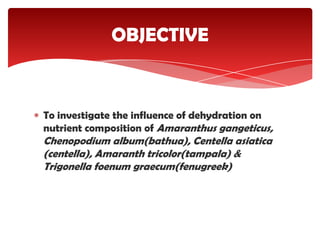 To investigate the influence of dehydration on
nutrient composition of Amaranthus gangeticus,
Chenopodium album(bathua), Centella asiatica
(centella), Amaranth tricolor(tampala) &
Trigonella foenum graecum(fenugreek)
OBJECTIVE
 