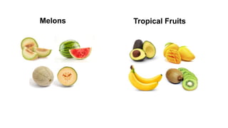 Melons Tropical Fruits
 