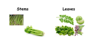 Stems Leaves
 