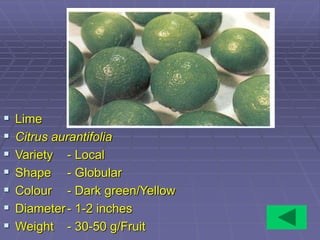 Export standards of Fruits and Vegetables.ppt