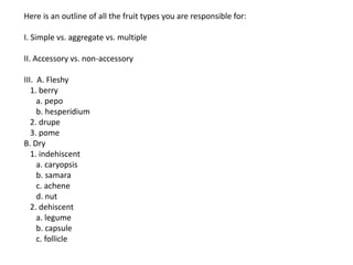 Here is an outline of all the fruit types you are responsible for:
I. Simple vs. aggregate vs. multiple
II. Accessory vs. non-accessory
III. A. Fleshy
1. berry
a. pepo
b. hesperidium
2. drupe
3. pome
B. Dry
1. indehiscent
a. caryopsis
b. samara
c. achene
d. nut
2. dehiscent
a. legume
b. capsule
c. follicle
 