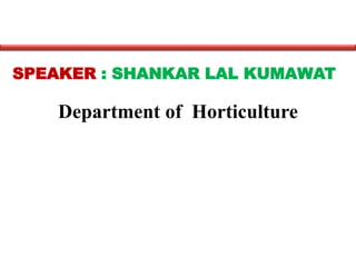 Department of Horticulture
SPEAKER : SHANKAR LAL KUMAWAT
 