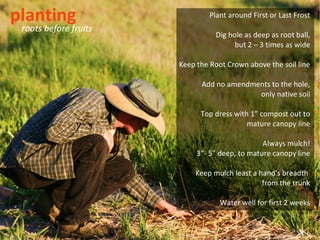 planting                        Plant around First or Last Frost
 roots before fruits
                                  Dig hole as deep as root ball,
                                        but 2 – 3 times as wide

                       Keep the Root Crown above the soil line

                             Add no amendments to the hole,
                                           only native soil

                             Top dress with 1” compost out to
                                           mature canopy line

                                                Always mulch!
                            3”- 5” deep, to mature canopy line

                           Keep mulch least a hand's breadth
                                               from the trunk

                                   Water well for first 2 weeks
 