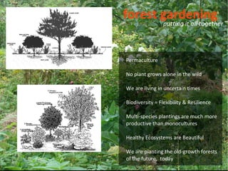 forest gardening
                 putting it all together




Permaculture

No plant grows alone in the wild

We are living in uncertain times

Biodiversity = Flexibility & Resilience

Multi-species plantings are much more
productive than monocultures

Healthy Ecosystems are Beautiful

We are planting the old-growth forests
of the future, today
 