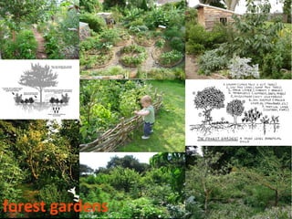 forest gardens
 
