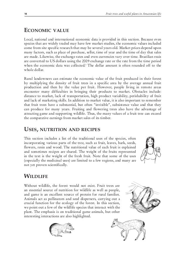 Fruit Trees & Useful Plants in Amazonian Life