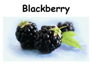 Blackberry