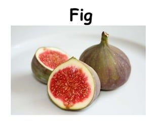 Fig