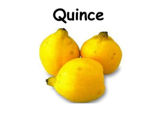 Quince