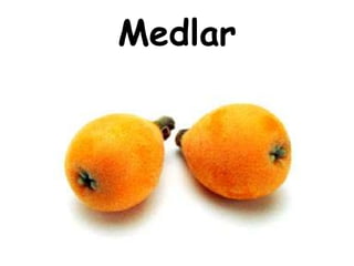 Medlar