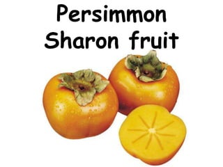 Persimmon Sharon fruit