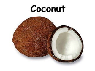 Coconut