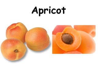 Fruit vocabulary | PDF