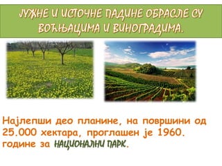 Најлепши део планине, на површини од 
25.000 хектара, проглашен је 1960. 
године за НАЦИОНАЛНИ ПАРК. 
 